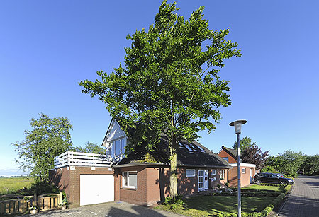 Foto aus der Fotogruppe 